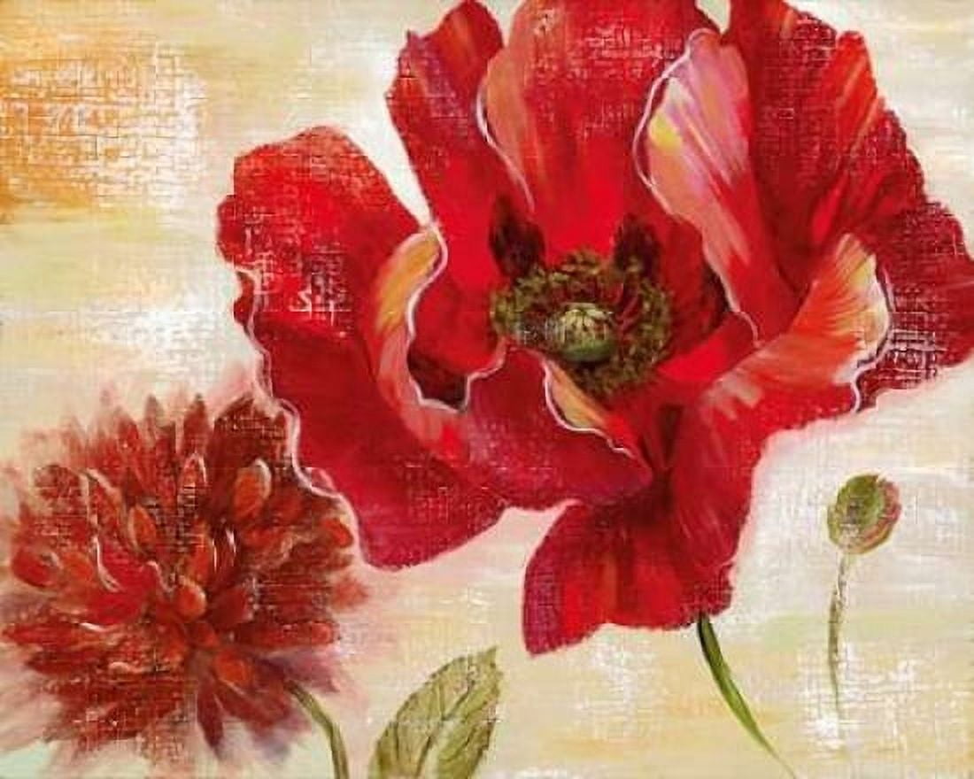 Passion For Poppies II Canvas Art - Nan (24 x 30)
