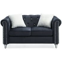 Raisa 60" Black Velvet 2-Seater Sofa with 2-Throw Pillow