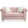 thumbnail image 1 of Raisa 60" Pink Velvet 2-Seater Sofa with 2-Throw Pillow, 1 of 3