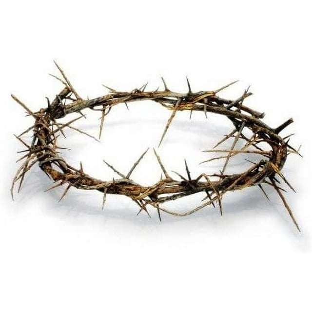 Passion of Christ Crown of Thorns/Authentic Crown of Thorns Comes in