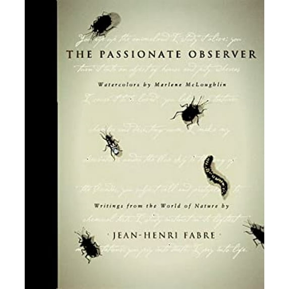 Pre-Owned The Passionate Observer (Hardcover) 0811809358 9780811809351