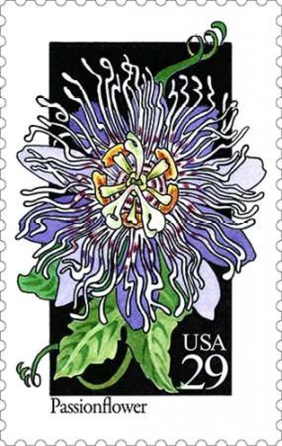 Passionflower Canvas Art - US POSTAL SERVICE (12 x 18)