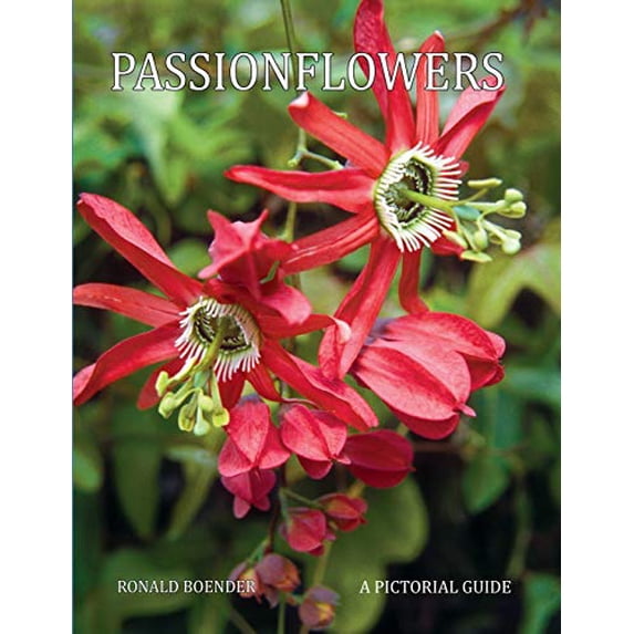 Passionflowers: A Pictorial Guide