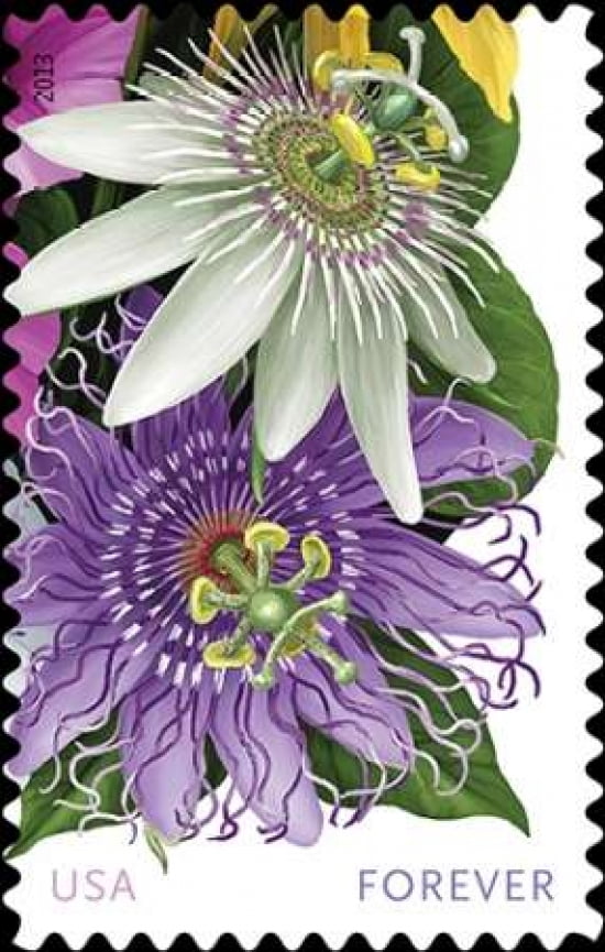 Passionflowers Forever Canvas Art - US POSTAL SERVICE (12 x 18)