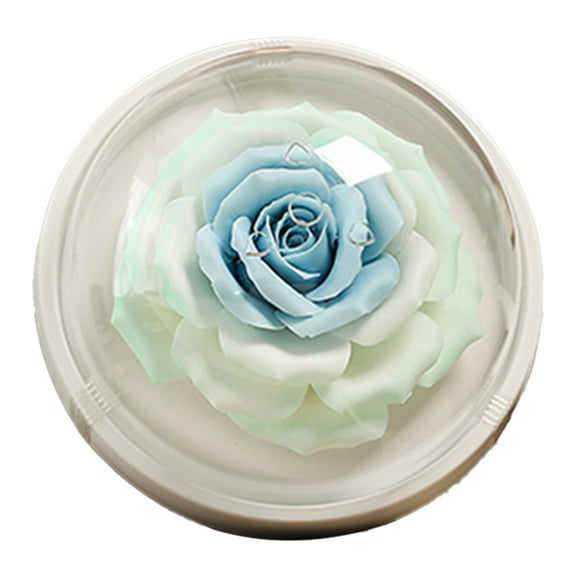 Passive Diffuser for Essential Oil-Ceramic Diffuser Non Electric Oil Diffusers for Small Mini Room, Desk Decorative, Bathroom