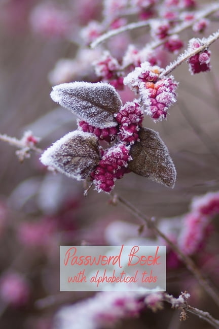 Password Book With Alphabetical Tabs: Email Address Book with Tabs ...