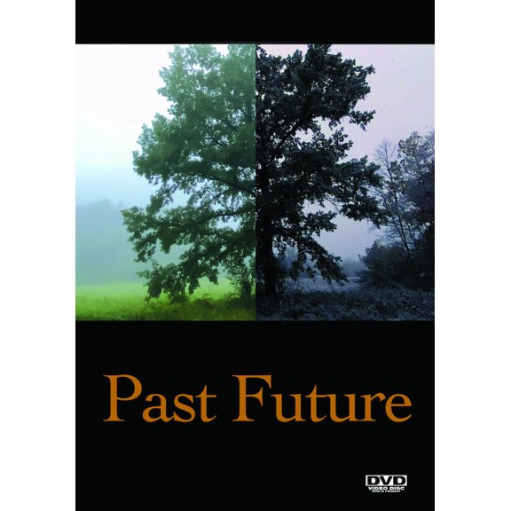 Freestyle Digital - Past Future [DIGITAL VIDEO DISC]