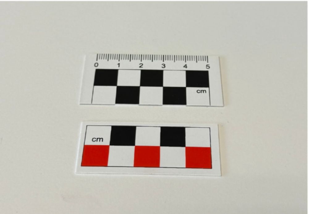 5 Cm To Scale
