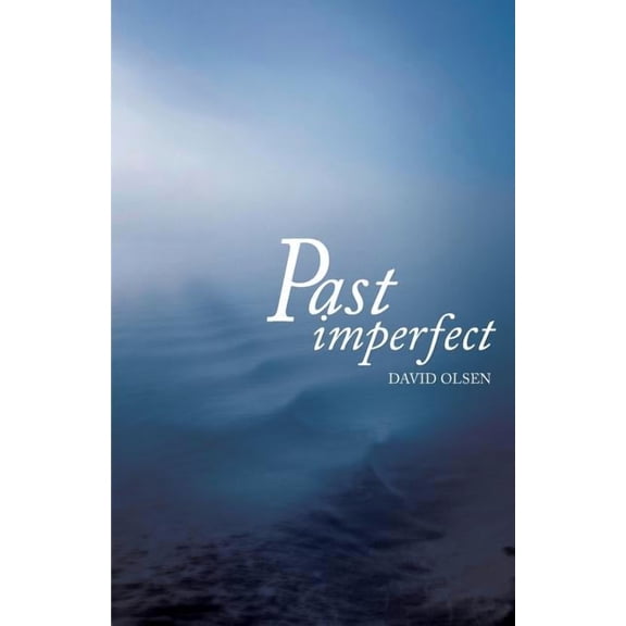 Past Imperfect (Paperback)