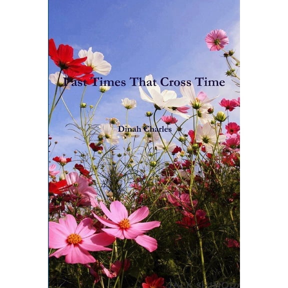 Past Times That Cross Time First Edition, (Paperback)