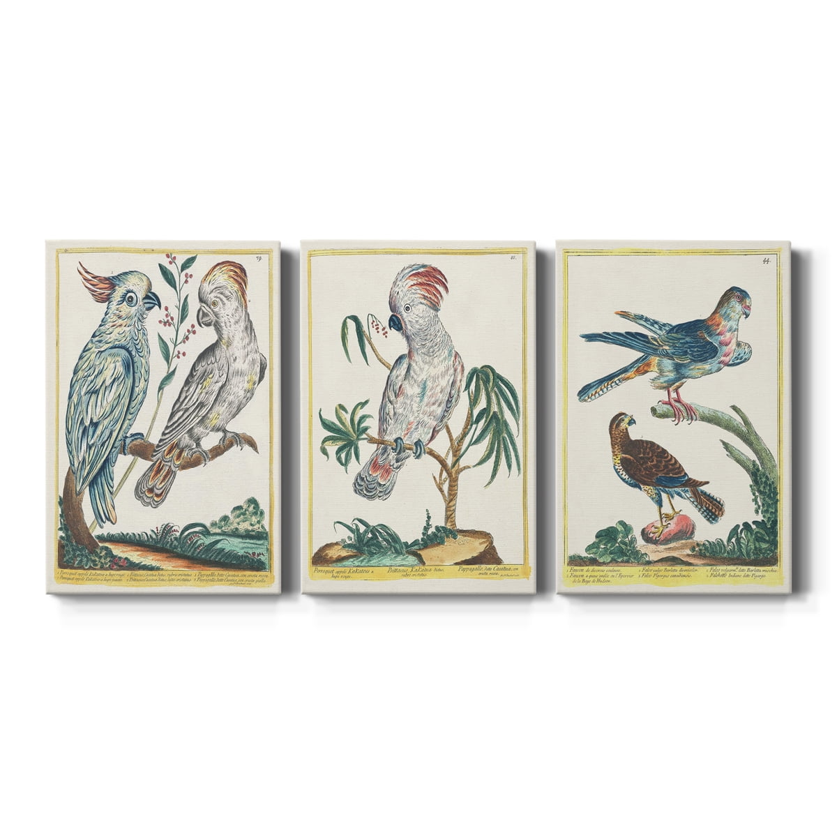 Pastel Birds I Premium Gallery Wrapped Canvas - Ready to Hang - 12 x 18 Each