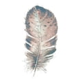 thumbnail image 1 of Pastel Feather I Poster Print by Patricia Pinto, 1 of 3