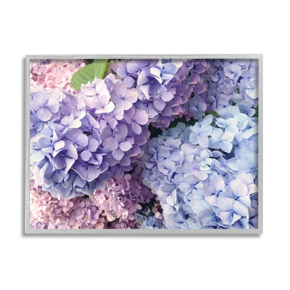 Pastel Hydrangea Flower Petals Botanical & Floral Photograph Gray Framed Art Print Wall Art
