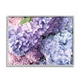 thumbnail image 1 of Pastel Hydrangea Flower Petals Botanical & Floral Photograph Gray Framed Art Print Wall Art, 1 of 7