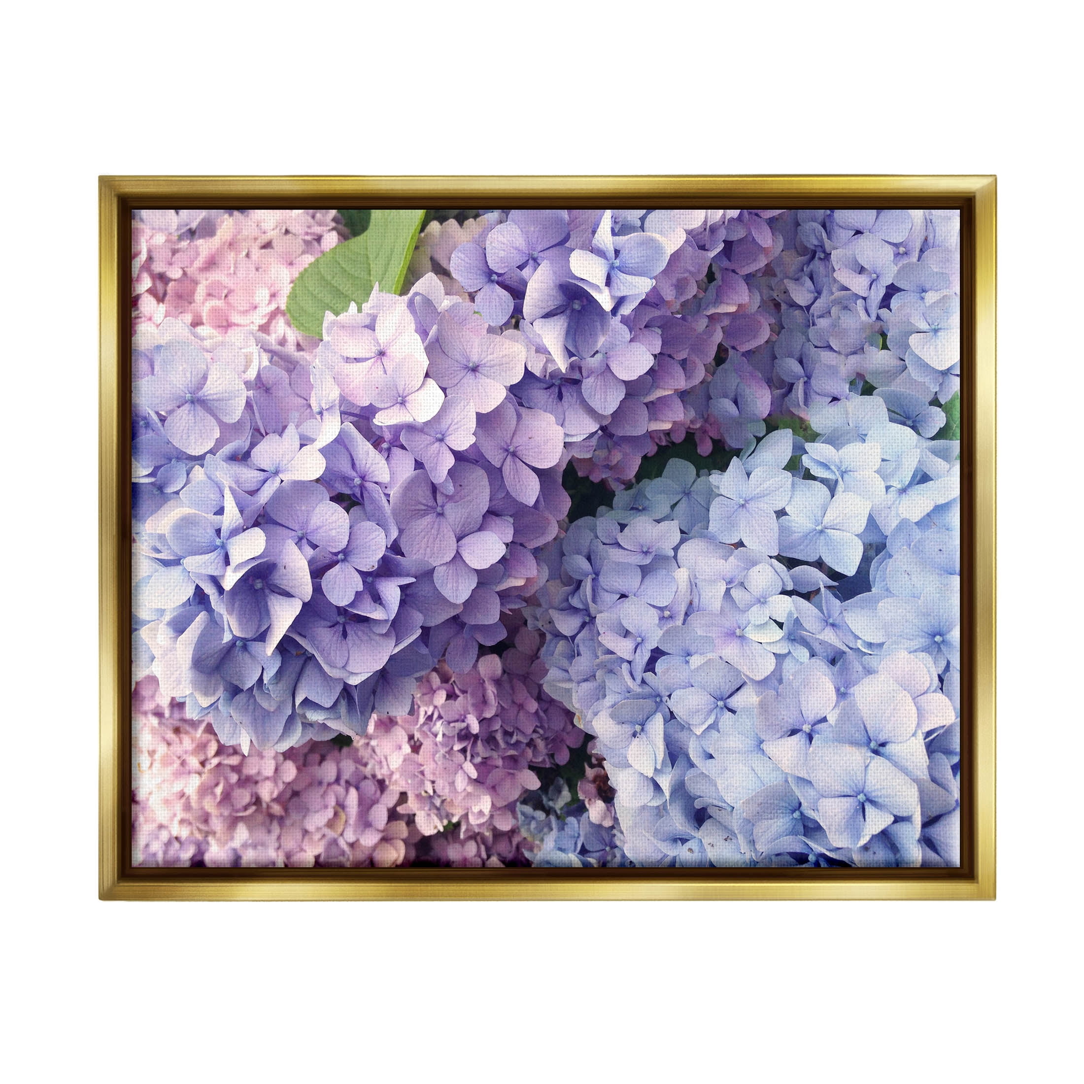 Pastel Hydrangea Flower Petals Botanical & Floral Photograph Metallic Gold Framed Art Print Wall Art