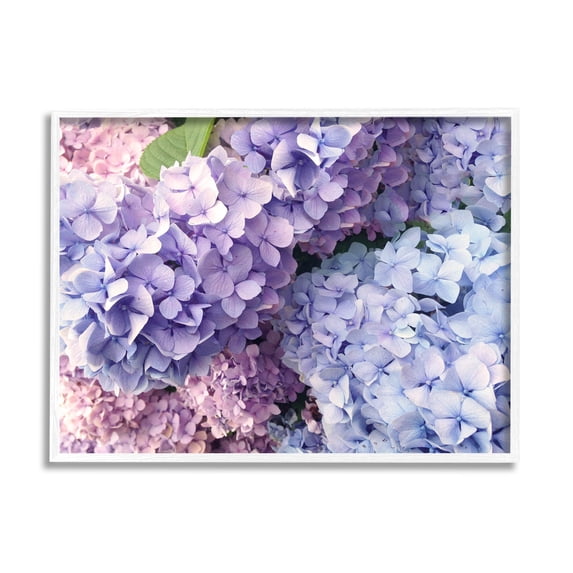 Pastel Hydrangea Flower Petals Botanical & Floral Photograph White Framed Art Print Wall Art