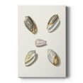 thumbnail image 1 of Pastel Knorr Shells III Premium Gallery Wrapped Canvas - Ready to Hang, 1 of 9