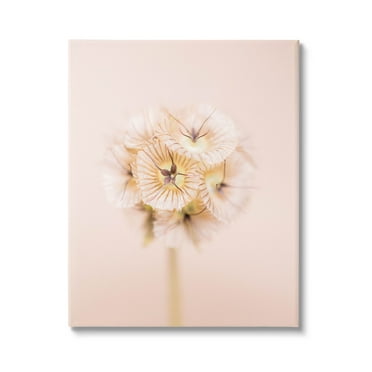Pastel Pink Floral Sprig Bloom Botanical & Floral Photograph Gallery Wrapped Canvas Print Wall Art