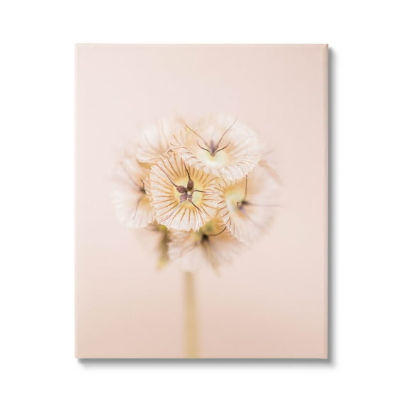 Pastel Pink Floral Sprig Bloom Botanical & Floral Photograph Gallery Wrapped Canvas Print Wall Art