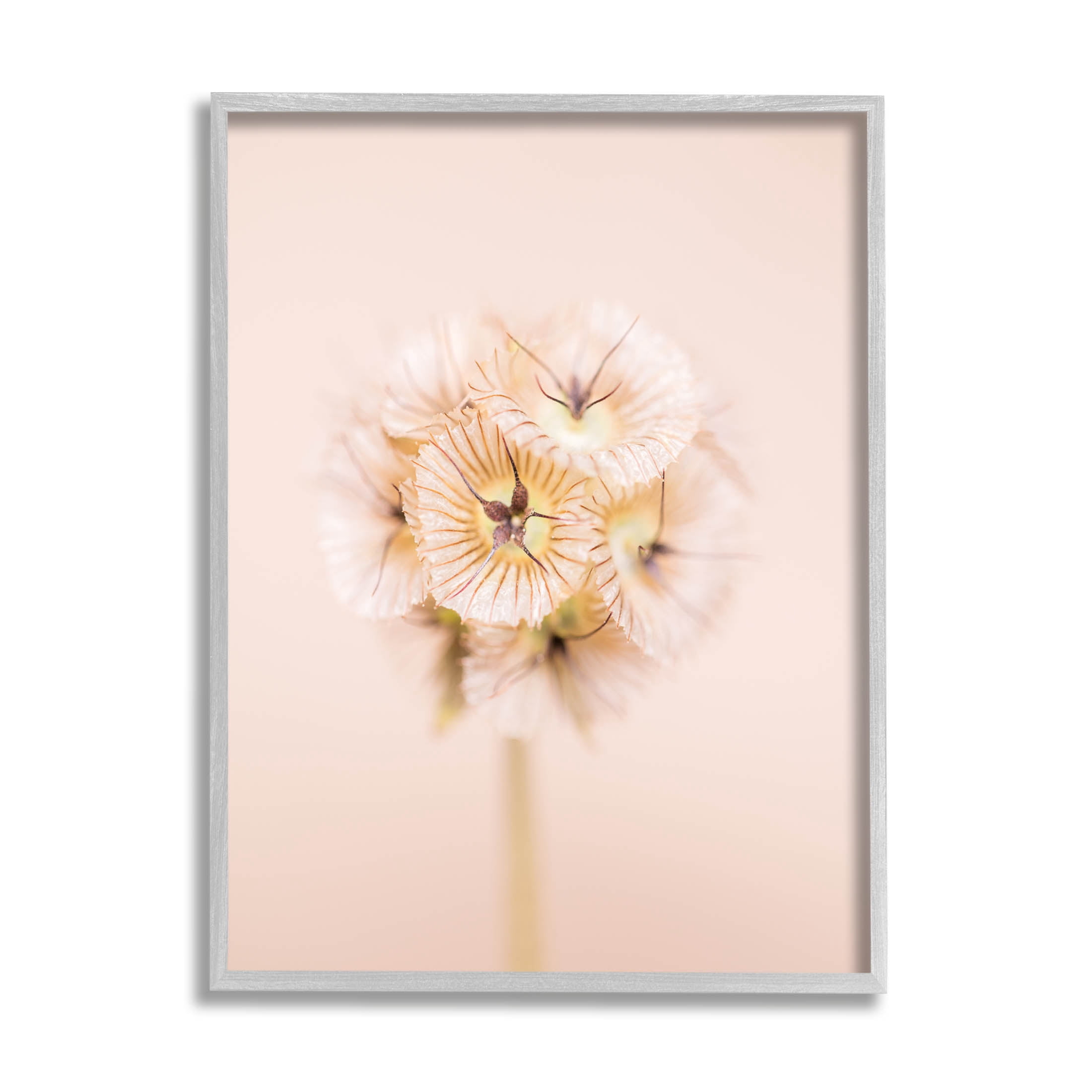 Pastel Pink Floral Sprig Bloom Botanical & Floral Photograph Gray Framed Art Print Wall Art