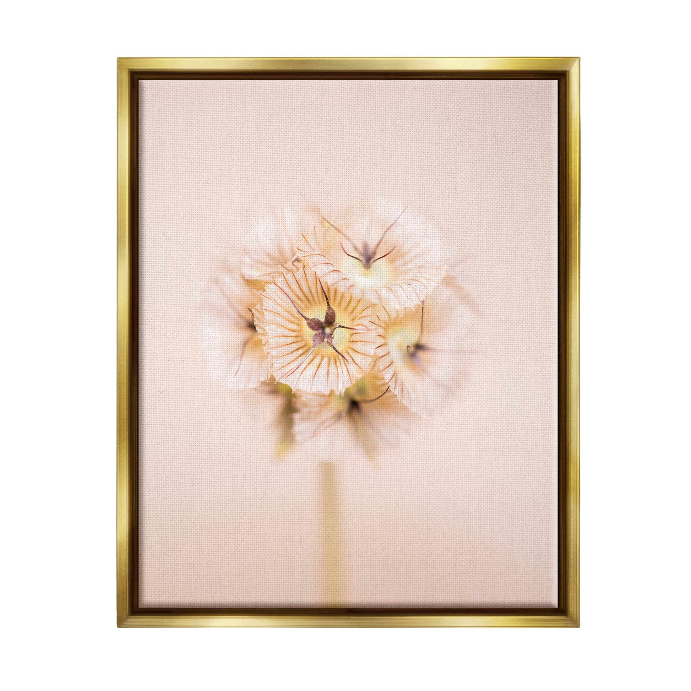 Pastel Pink Floral Canvas Print with Gold Frame, 17" x 21"