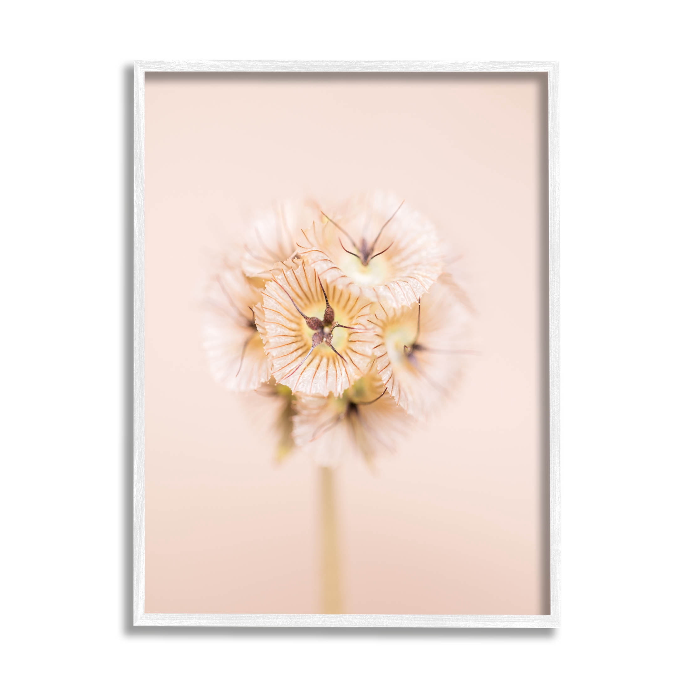 Pastel Pink Floral Sprig Bloom Botanical & Floral Photograph White Framed Art Print Wall Art