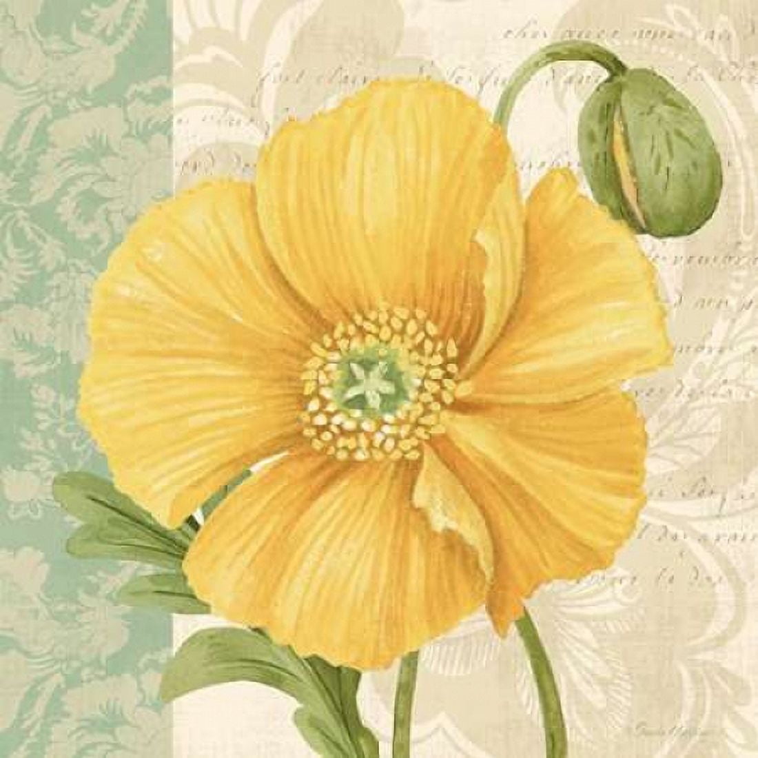 Pastel Poppies I Canvas Art - Pamela Gladding (24 x 24)