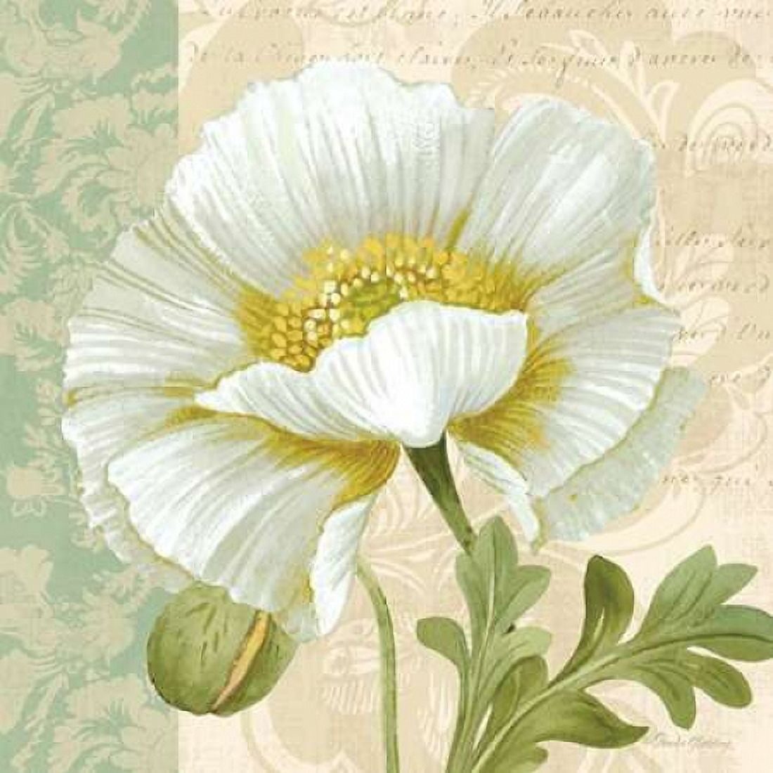 Pastel Poppies III Canvas Art - Pamela Gladding (24 x 24)