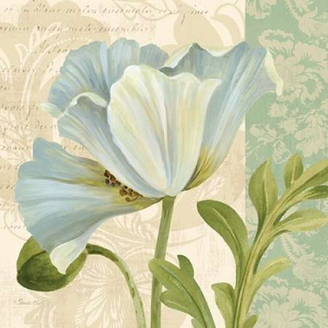 Pastel Poppies IV Canvas Art - Pamela Gladding (24 x 24)