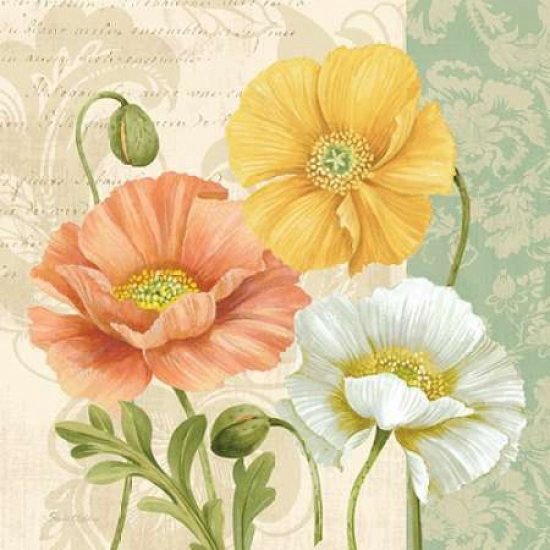Pastel Poppies Multi II Canvas Art - Pamela Gladding (24 x 24)
