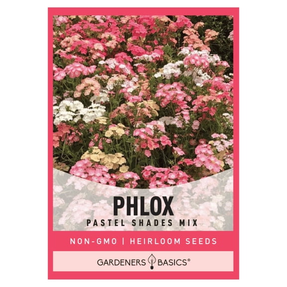 Pastel Shades Mix Phlox Seeds