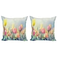 thumbnail image 1 of Ambesonne Pastel Throw Pillow Cover 2 Pack, Tulips Flower Bed Park, 24", Multicolor, 1 of 2