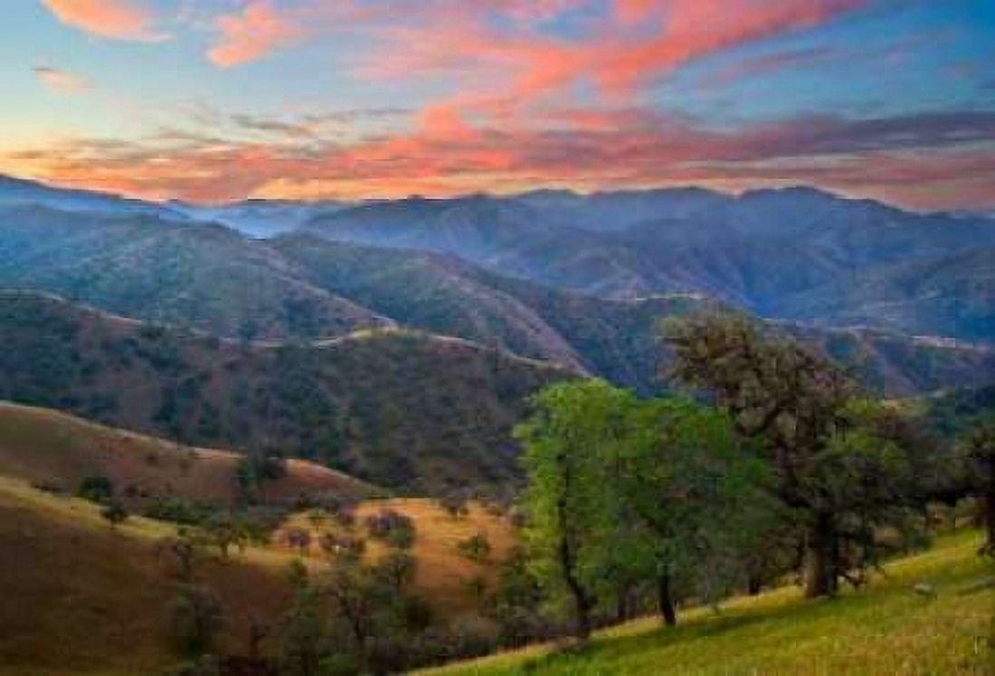 Pastel in Nature II Canvas Art - Mark Geistweite (24 x 36)