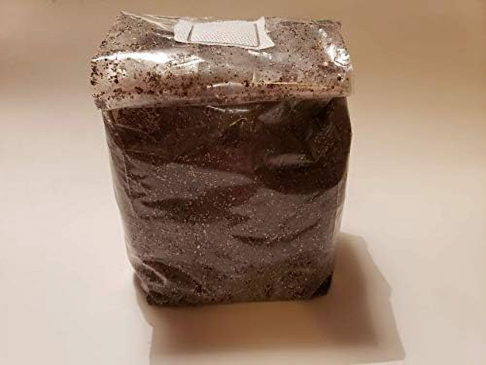 Pasteurized Mushroom Substrate 5 LB Bag Made Perfectly To Field
