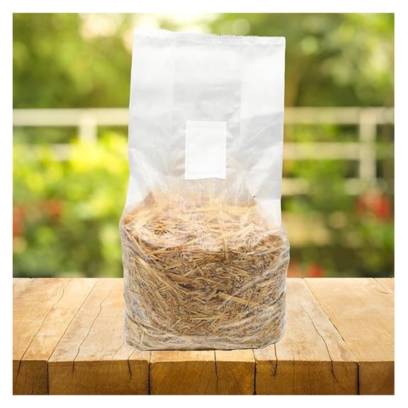 Pasteurized Wheat Straw Mushroom Substrate (5lbs)