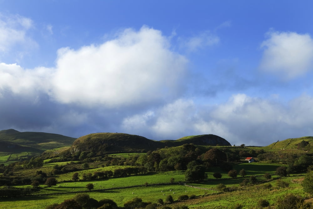 Pastoral Countryside and Hill Farm Near Leean Mountain County Leitrim Ireland Canvas Art - George Munday Design Pics (19 x 12)