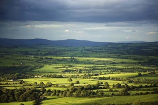 Pastoral Fields Near Clonea County Waterford Ireland Canvas Art - Panoramic Images (36 x 24)