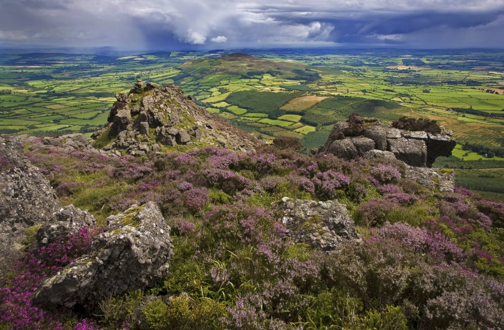 Pastoral Fields from above Coumshingaun Lake Comeragh Mountains County Waterford Ireland Canvas Art - George Munday Design Pics (38 x 24)