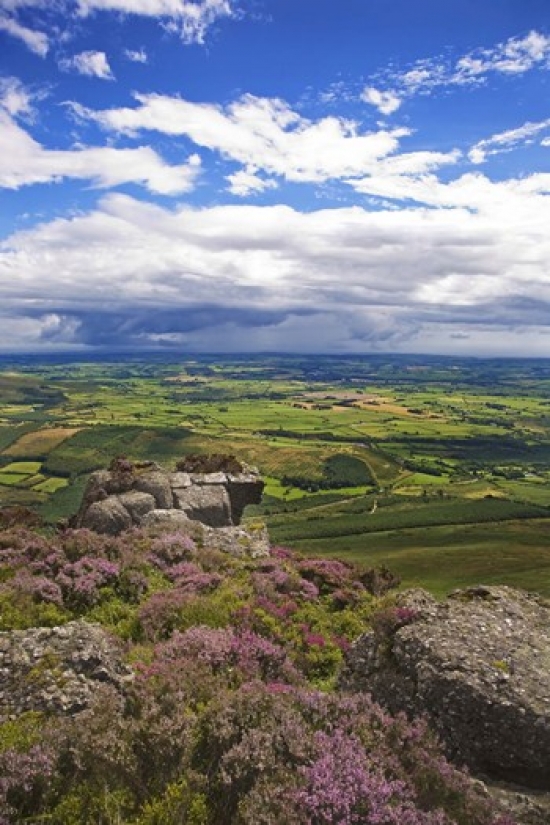 Pastoral Fields from above Coumshingaun Lake Comeragh Mountains County Waterford Ireland Canvas Art - Panoramic Images (24 x 36)