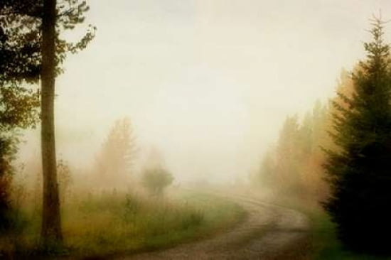 Pastoral Morning Canvas Art - Roberta Murray (20 x 28)