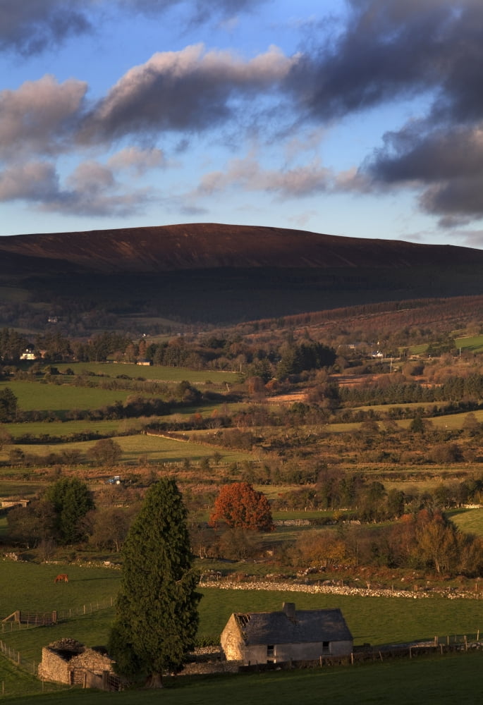 Pastoral countryside on the Blackstairs Mountains on the border of County Wexford (and Carlow) Ireland Canvas Art - Panoramic Images (24 x 18)