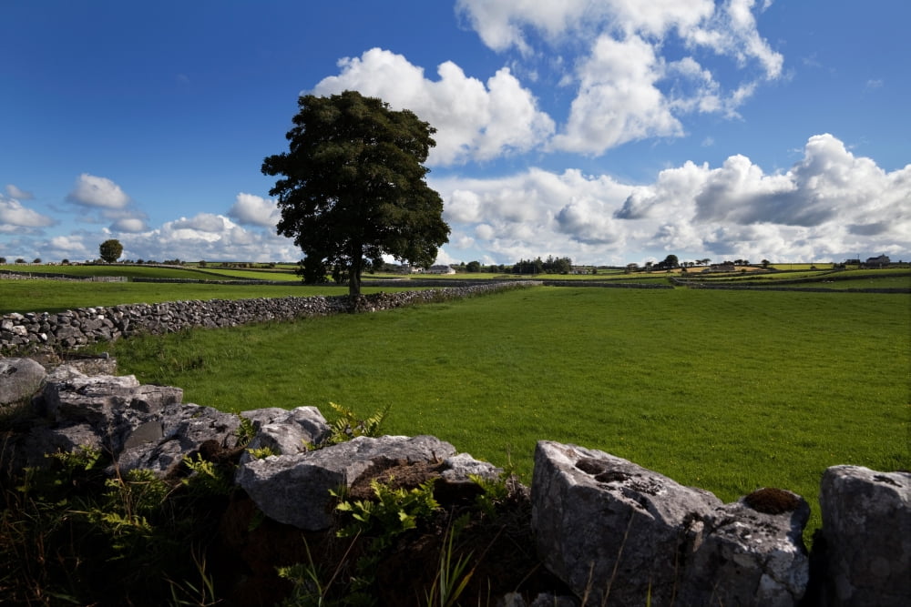 Pastoral farmland between Clonbur and Ballinrobe County Mayo Ireland Canvas Art - Panoramic Images (36 x 12)