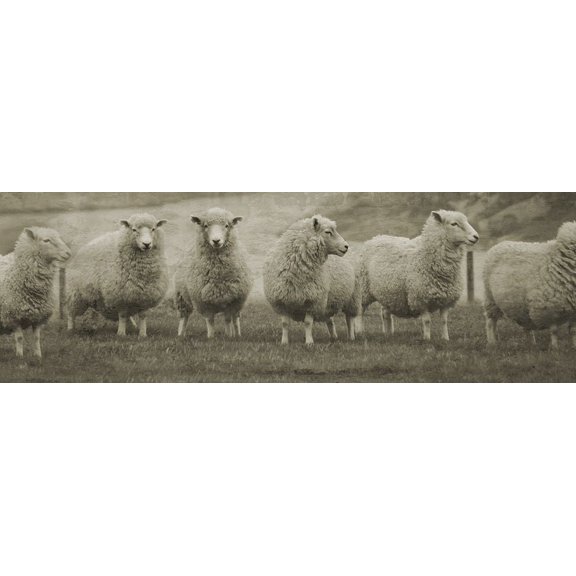 Pasture Graze Poster Print by Jamie Phillip (36 x 12) # JPH1B