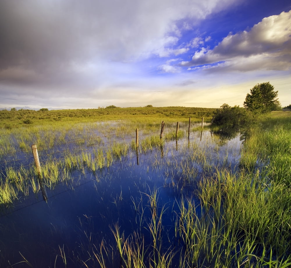 Pastureland After Rain Storm Near Cochrane Alberta Canada Canvas Art - Darwin Wiggett Design Pics (28 x 26)