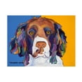 thumbnail image 1 of Pat Saunders-White 'Rainie' Canvas Art, 1 of 3