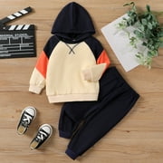 PatPat Toddler Clothes 2pcs Toddler Boy/Girl Fabric Stitching Hooded Set