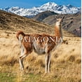 thumbnail image 1 of Patagonia National Park: Chile: Chile, (Paperback), 1 of 1