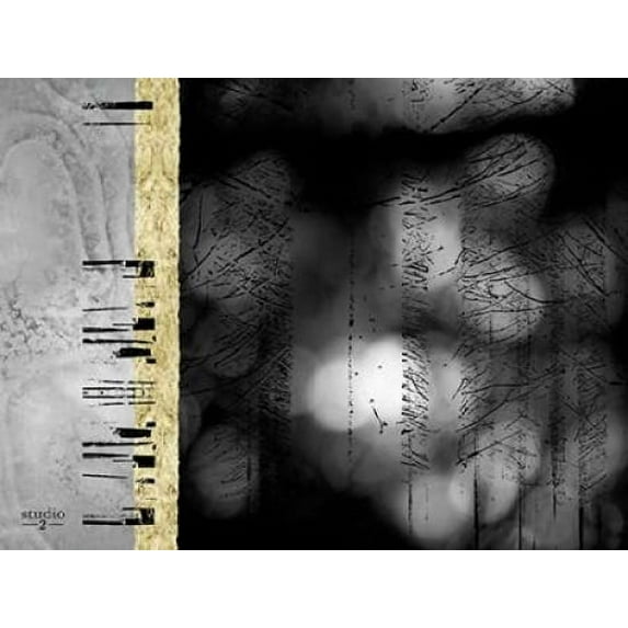 Path I Poster Print by Studio 2 (9 x 12)