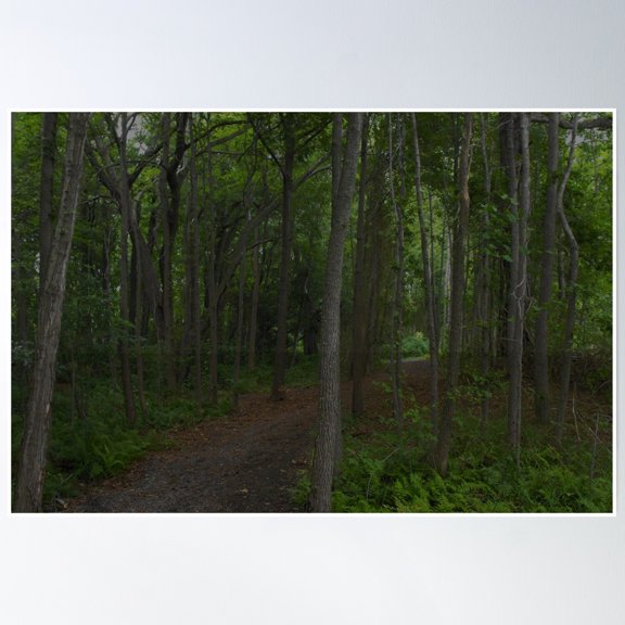 Path Less Traveled Poster Wall Art, Modern Wall Decor, 8x12 UNFRAMED