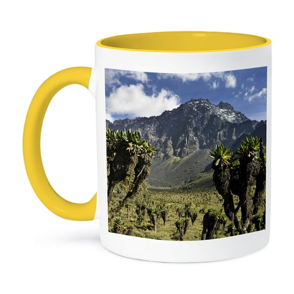 3drose, Path, Mt Baker and Bujuku Bog, Rwenzori, Uganda - Af48 Mzw0021 - Martin Zwick, 11oz Two-tone Yellow Mug